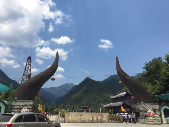 义乌申通商标代理有公司 牛头山玩